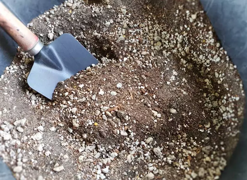 best soil for succulents